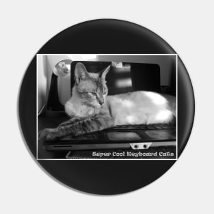 Funny Cat Stickers Laptop Keyboard Cats Pin