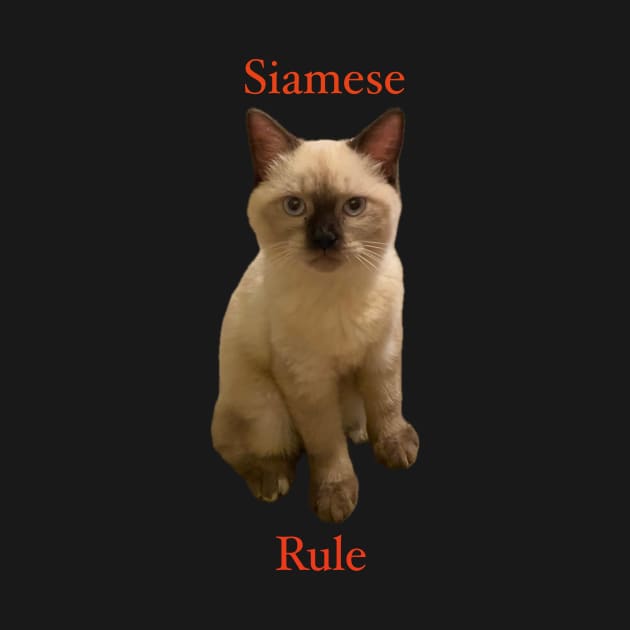 Siamese Rule by gldomenech