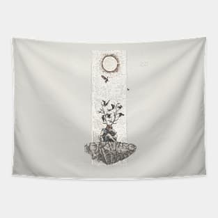 Quaoar Tapestry