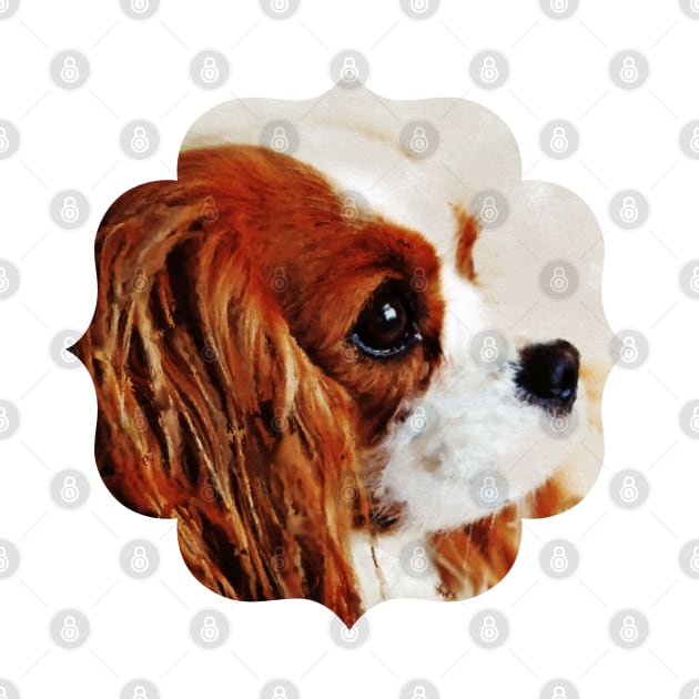 Cavalier King Charles Spaniel by Nartissima