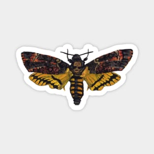 Death's Head Moth Magnet