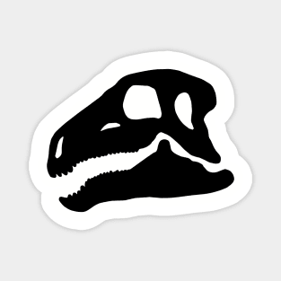 Huayangosaurus skull - black Magnet