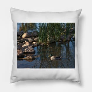 The Duck Between The Reeds And The Rocks Pillow