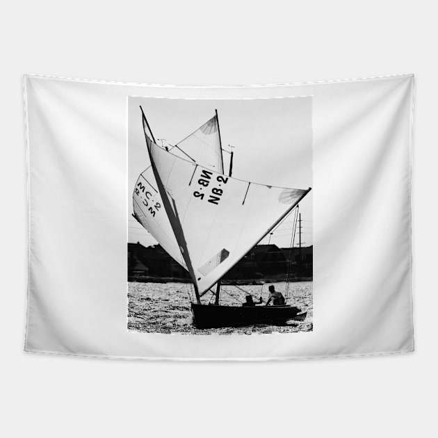 Sailing Wing on Wing Tapestry by fparisi753