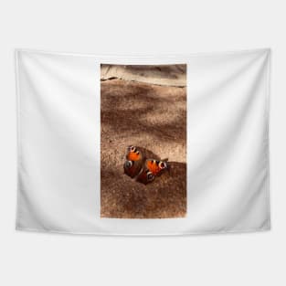 Cool Butterfly photo on a rocky ground Tapestry