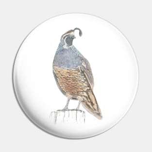 Quail Pin