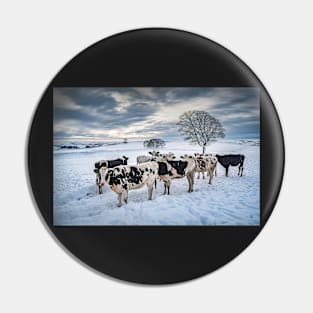 Cows in a Snowy Field with Trees Pin