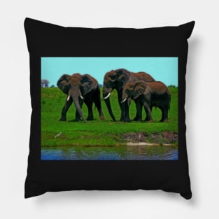 Elephants, Chobe National Park, Botswana Pillow