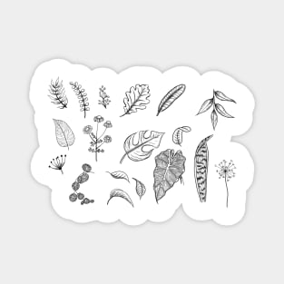 Leaf Doodles in Pen and Ink Botanical Monstera Leaves Magnet