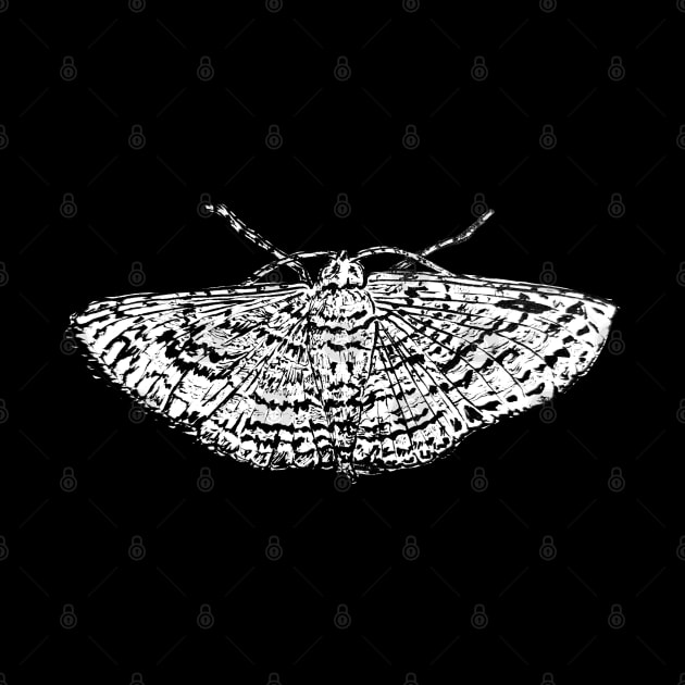 The Moth by TRJ NOLA