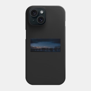 Newcastle Town Moor Trees At Dusk Phone Case