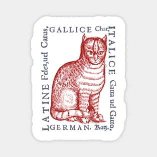 Medieval Cat with Translations from year 1560 Magnet