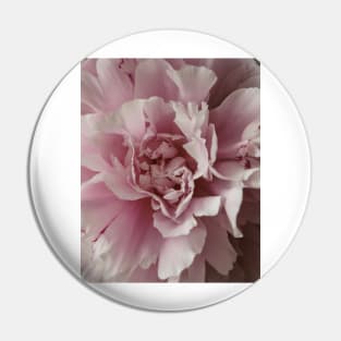 Macro Peony Pin