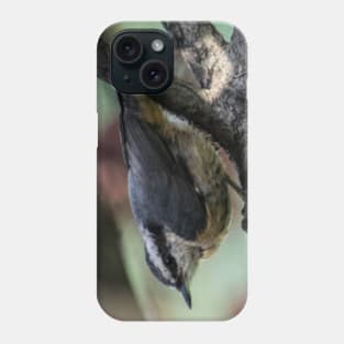 White Breasted Nuthatch. Phone Case