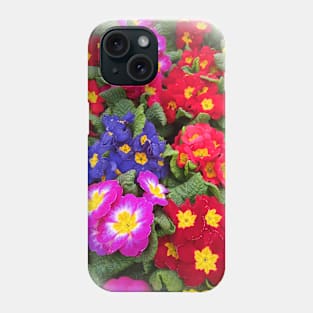 A Colorful Springtime Medley of Primulas Phone Case