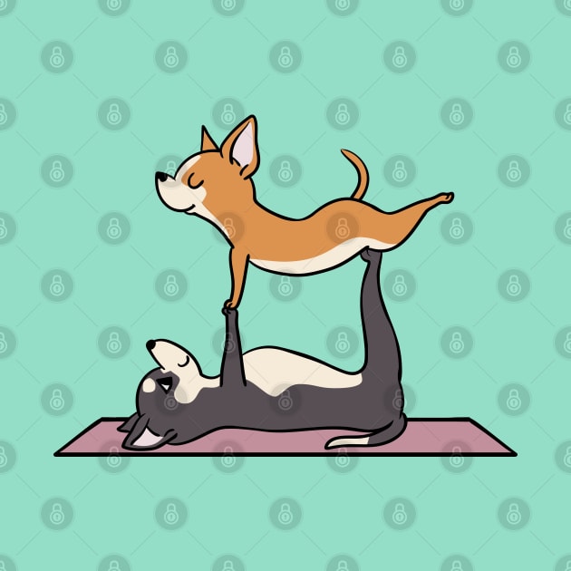 Acroyoga Chihuahua by huebucket