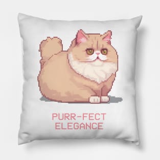 Persian Cat Pillow