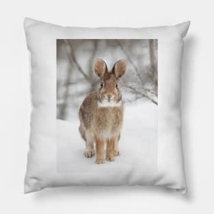 Eastern Cottontail Rabbit Pillow