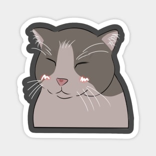 Smiling cat filter Magnet