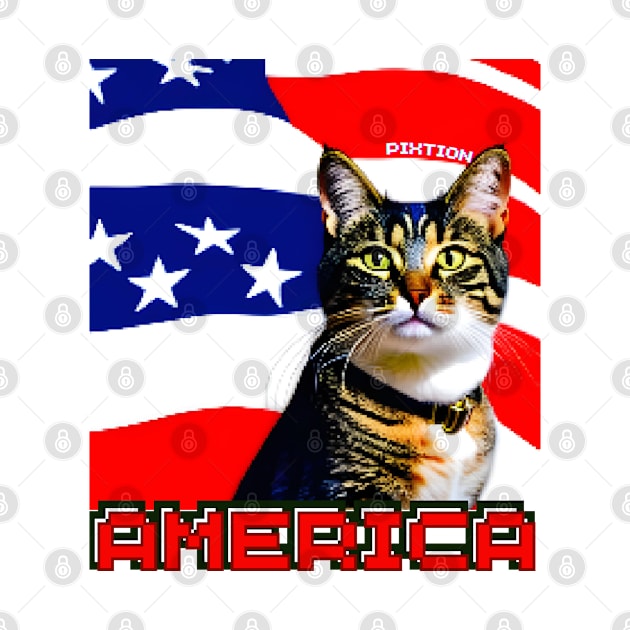 American Cat by pixtion