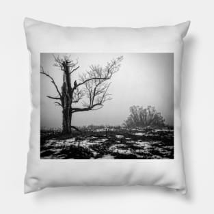 Lone Tree In Fog BnW Pillow