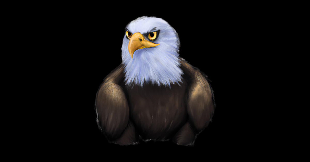 Cute Bald Eagle Drawing Cute Bald Eagle Posters and Art Prints