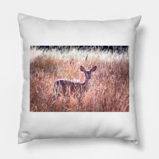 Deer in wild grass Pillow