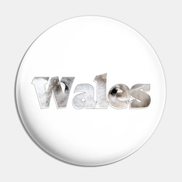 Wales Pin by afternoontees