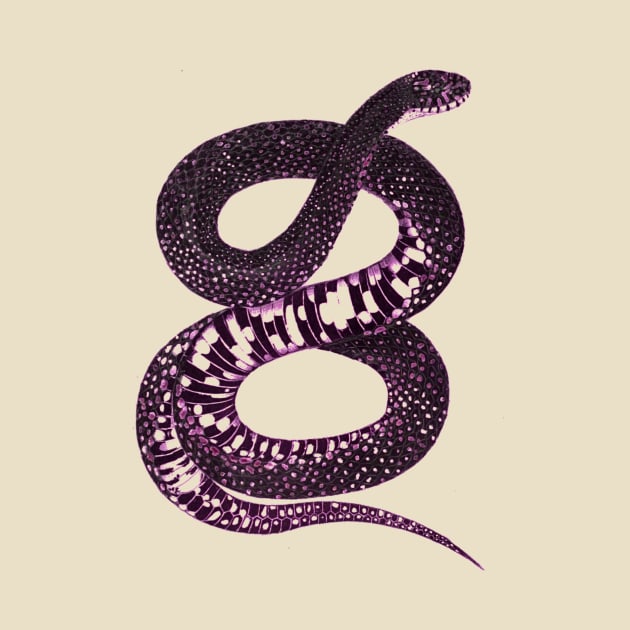 serpent,cobra,reptile,viper,venom,lizard,rattlesnake,king cobra by vabontchi