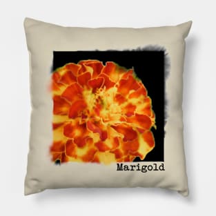 Marigold Pillow