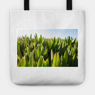 Ice Plant Tote