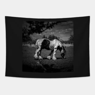 Grazing Black And White Horse Tapestry