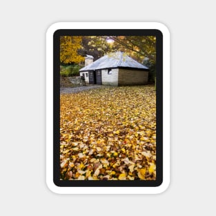 Autumn in Arrowtown, New Zealand Magnet