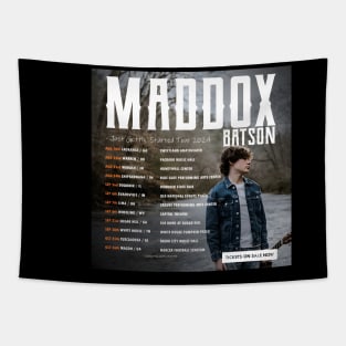 World Tour Music Singer 2025 Tapestry