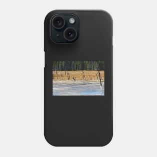 Lodgepole Pines Yellowstone Wyoming Phone Case