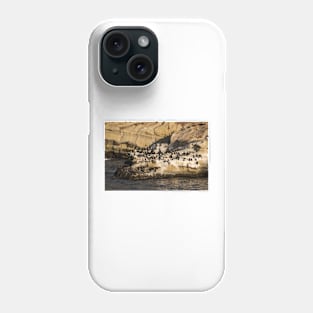 Sea Lions And Seals © Phone Case