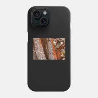 Trees and Moss Phone Case