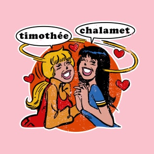 Timothee Chalamet Teen Fan Art Meme (Distressed/Vintage) T-Shirt