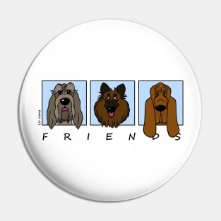 Friends 2 Pin