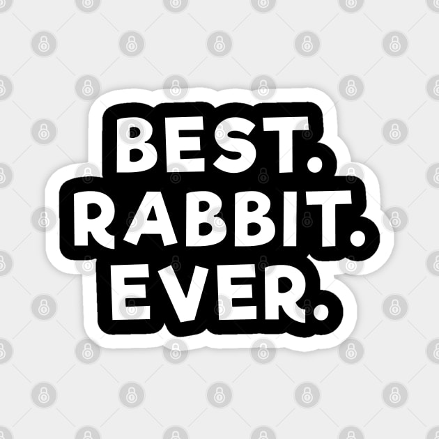 best rabbit ever White Magnet by Dolta