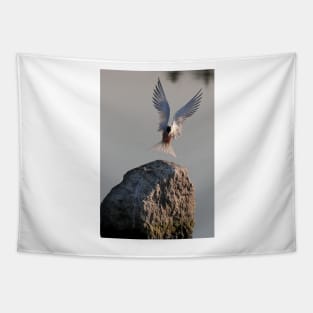 Have fish, will land - Common Tern Tapestry