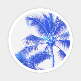 Blue Palm Trees in a Perfect Sky Magnet