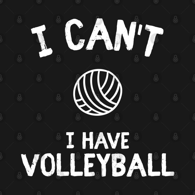 Funny saying gift volleyball sport team by ShirtyLife