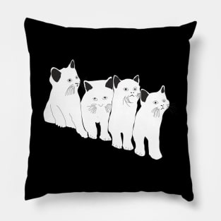 Funny Cats and Kittens Pillow