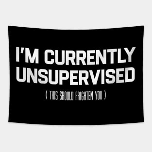 I’m Currently Unsupervised Tapestry