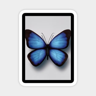 Blue Butterfly Magnet