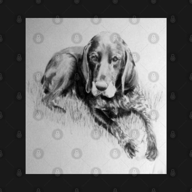 Dog in charcoal by Avril Thomas by AvrilThomasart