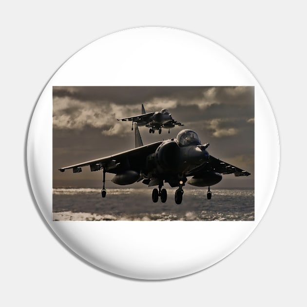 Hovering Harrier Pin by captureasecond