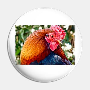 cli rooster Pin