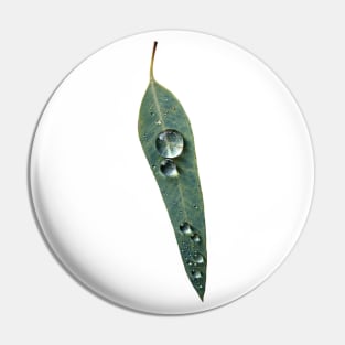 Leaf with Tropical Rain Drop Pin